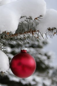 tis8217theseason