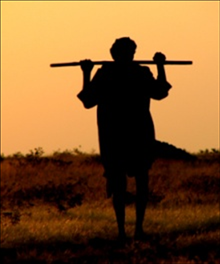 2154-shepherd-silhouette-220w-tn-jpg