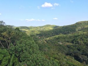 12036802_1094551717223742_3280681672672402708_n